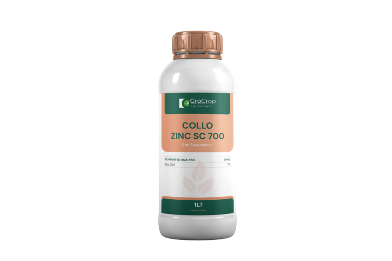 COLLO
