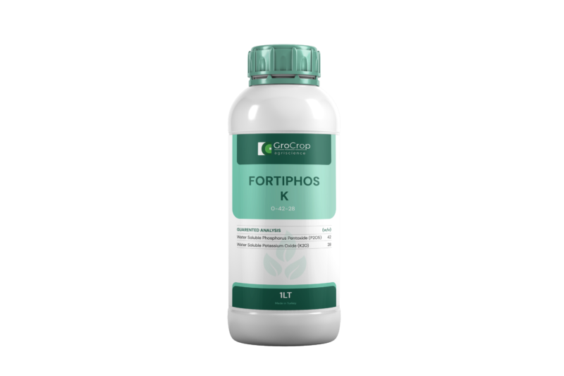 FORTIPHOS_K