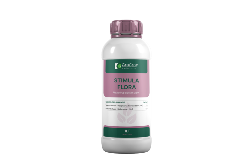 STIMULA_FLORA