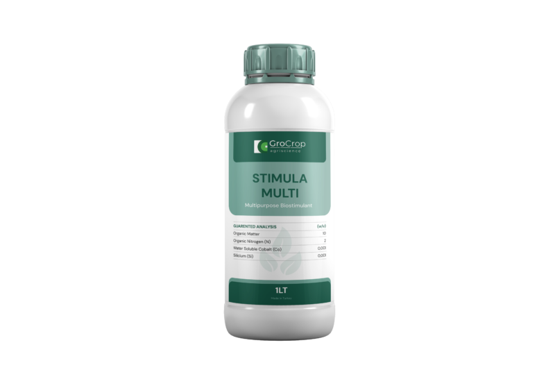 STIMULA_MULTI